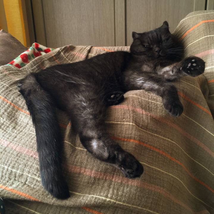 Bbe6763b 5336 4187 8e20 87ab4bf645f2 1540657605911