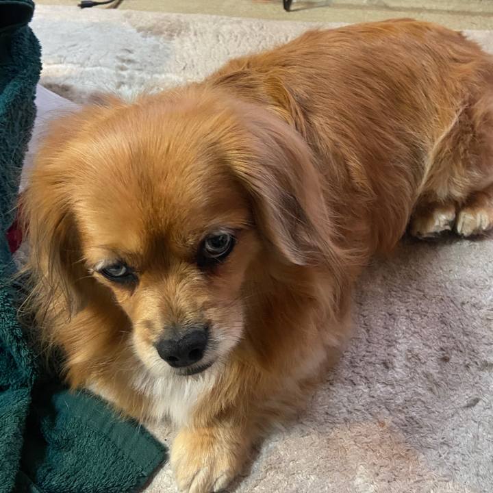 Bbe69f03 2031 4305 82df 849f3fe11c92 1674595596942