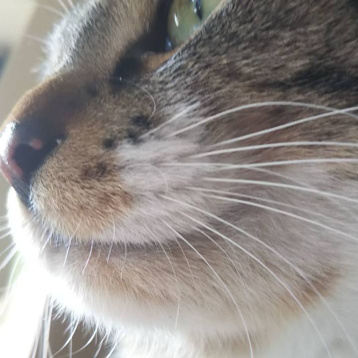 Bbe6bff5 3994 412f a0d3 a74a48708784 1616045368094