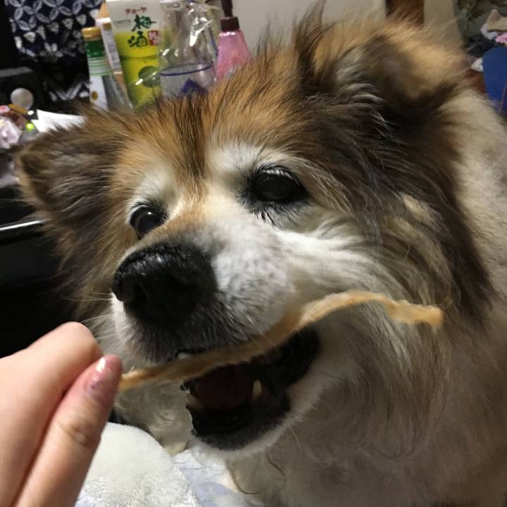 Bbe70c8b 6769 4fe8 88b0 3998517d584b 1572198230073