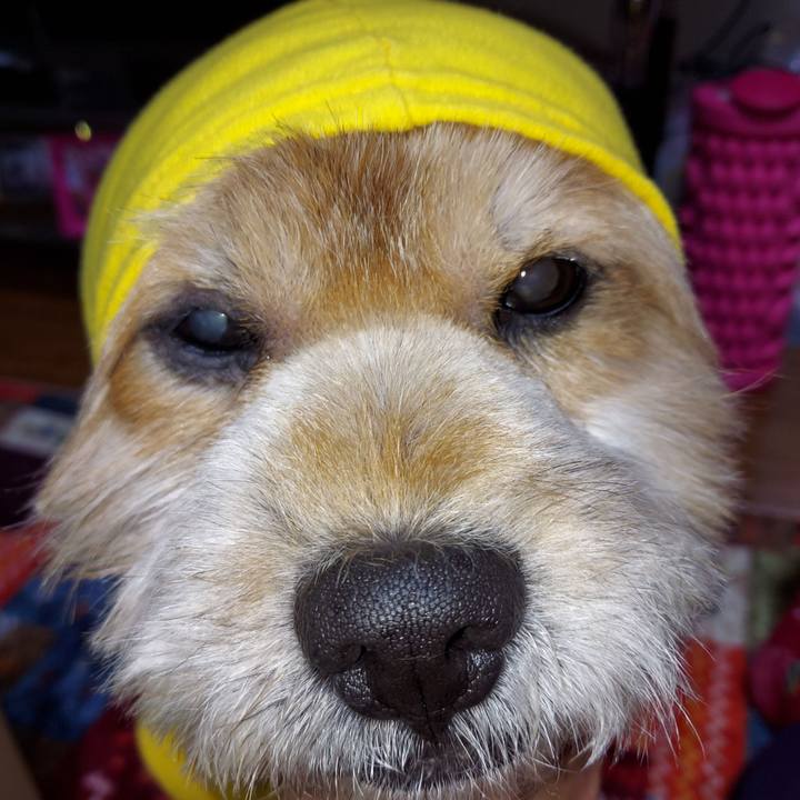 Bbe70d6a 6582 4e22 ab49 2b213c91e233 1639048312667