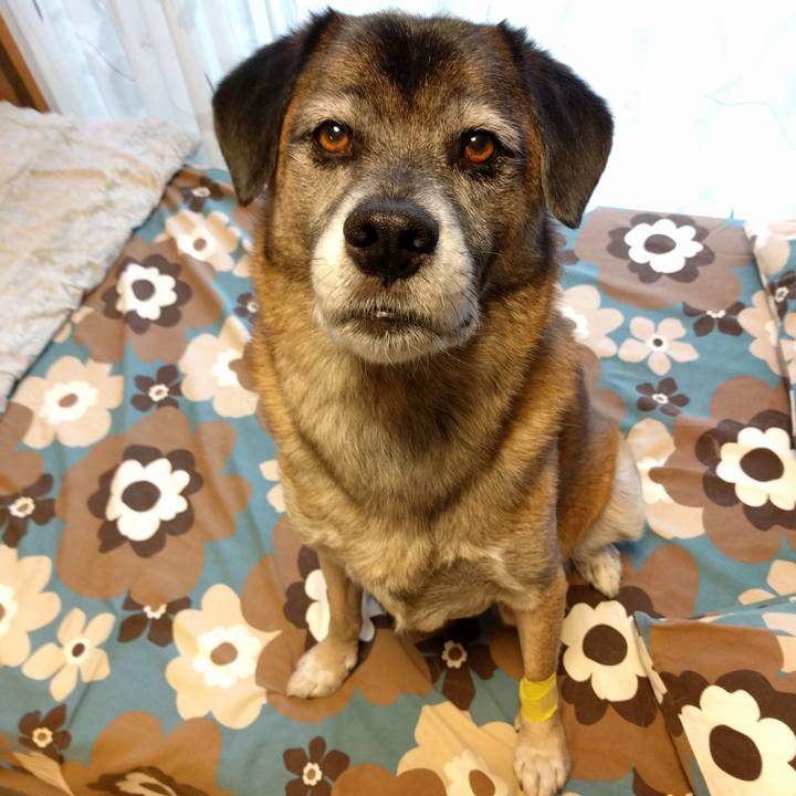 Bbe70ee5 82e2 4a51 ab47 98ffff1d8d98 1693354796908