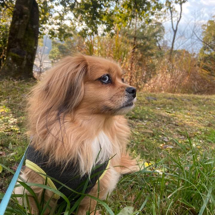 Bbe75c38 b17a 4cb3 9860 03b5e0286a39 1640825631175