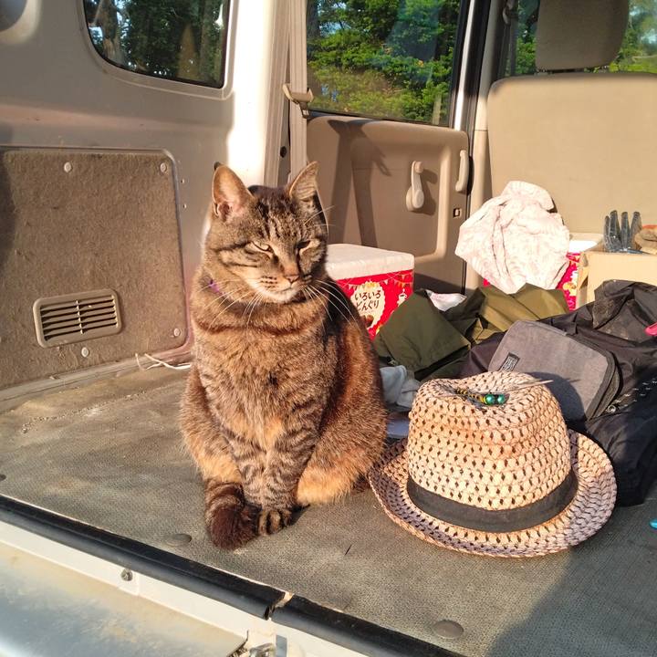 Bbe76fed 2704 4b04 add9 82d2dc3185f7 1748473053127