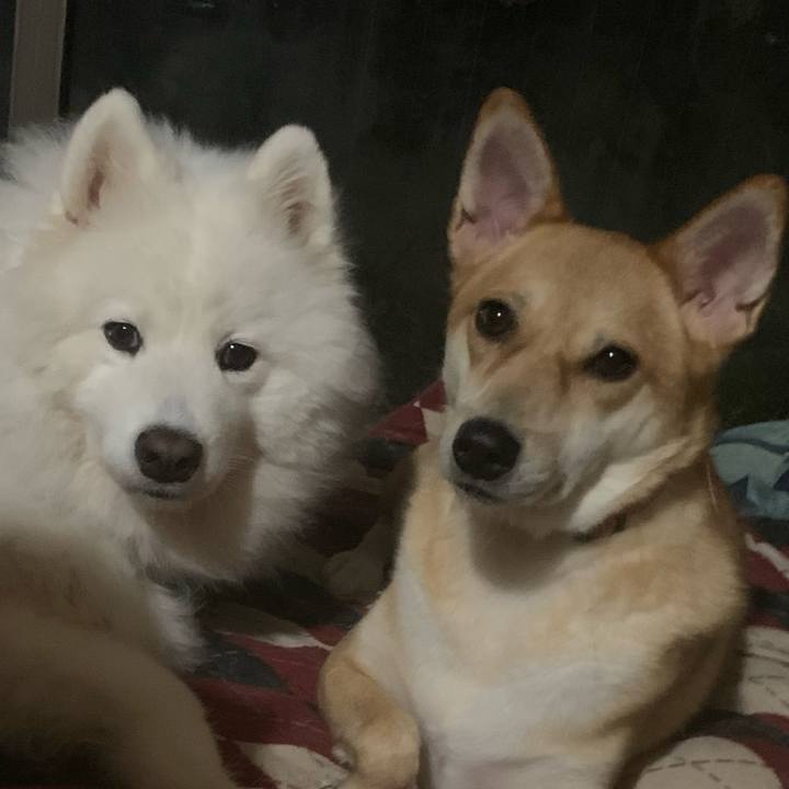 Bbe7752f 589c 489b 9ca8 677286e83439 1602299639474