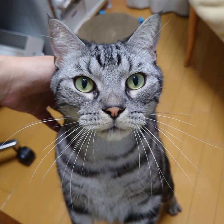 Bbe7d990 8c9b 4be1 97c5 b773f62c3d94 1650678243232