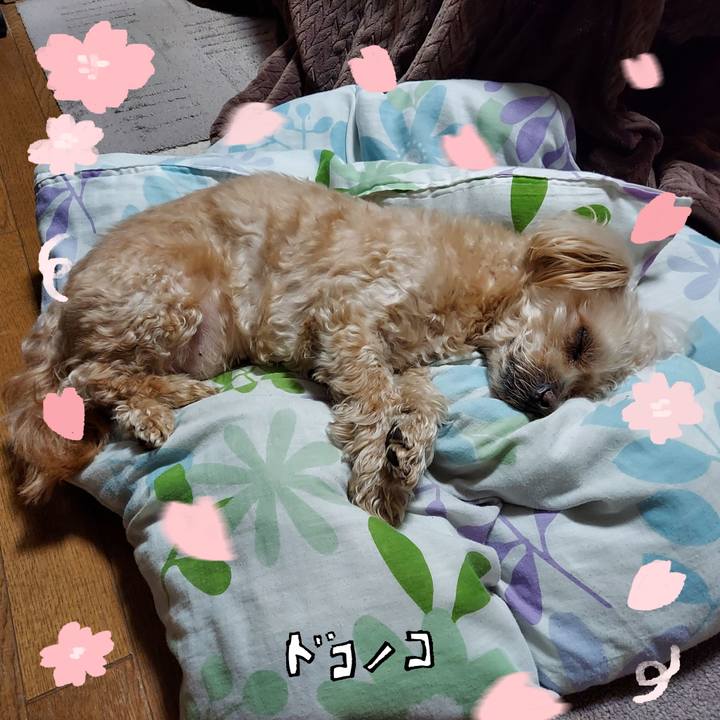 Bbe8000c 74ff 4715 905e 184a0bc2bfb5 1744272339276