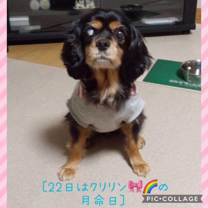 Bbe80cb1 55c6 4948 bd30 27d4687b19c8 1600746427757