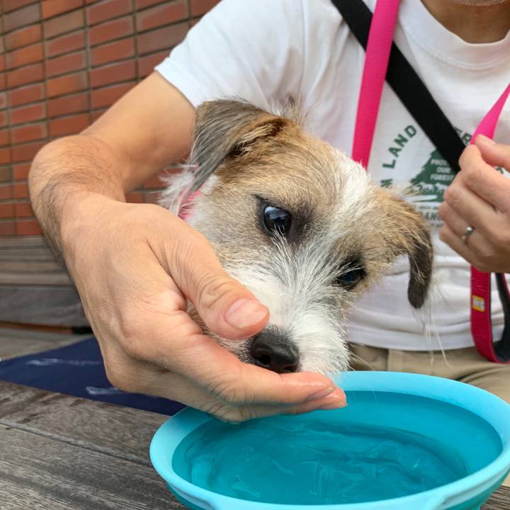 Bbe8ab64 b23c 46be 86cd 08adb1e5798a 1570354394232