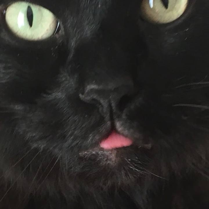 Bbe8c56b 4142 474c 9db1 4da4c9289047 1528379998200