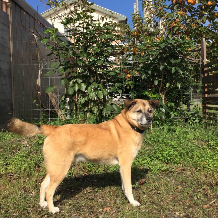 Bbe8fb87 6027 4949 9189 d162ea82cef0 1508292362378