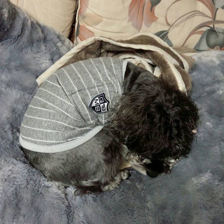 Bbe90f11 ad82 45bd 948e bd4593cb3595 1511353265910