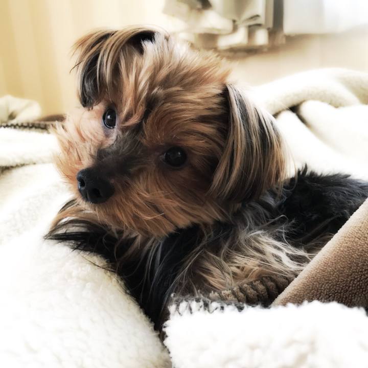 Bbe91a7f ff83 4d45 8f45 f09945450b62 1509837153177