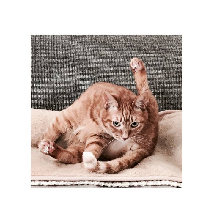 Bbe929dc 0c17 482c a583 0ba78faa82ba 1581680316104