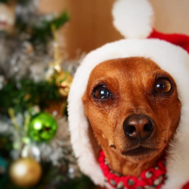 Bbe97ca1 81e5 414a a066 b763b7fe0a8f 1577181865631