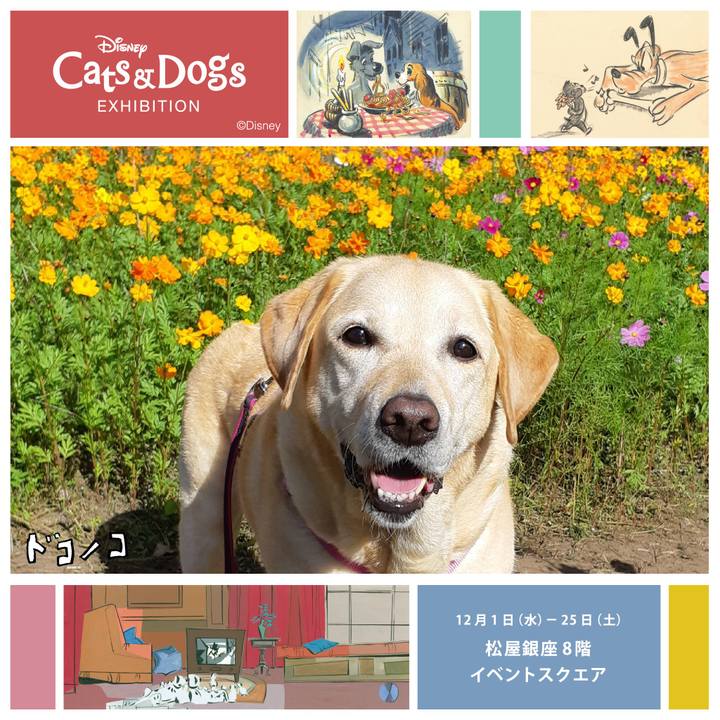 Bbe9836a 8a79 4139 a991 50eaea8676d8 1638424888190