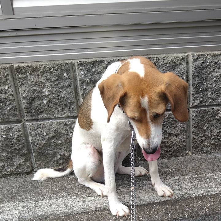 Bbe99523 520a 486e bb8a d8a9e80997c2 1626513467203