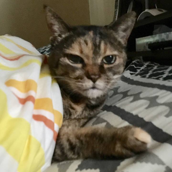 Bbe9b45b 1427 471f a4b5 311d68f0f27a 1538185761231