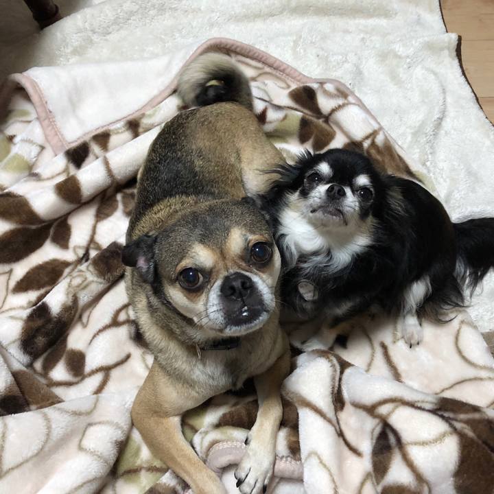 Bbe9b82d ab2c 499e a08f d25dc2d3f2a9 1529499887989