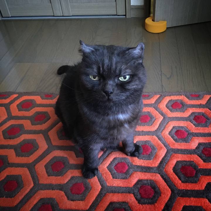 Bbe9d649 415c 46ce 9596 b4ca53b01668 1584754493025