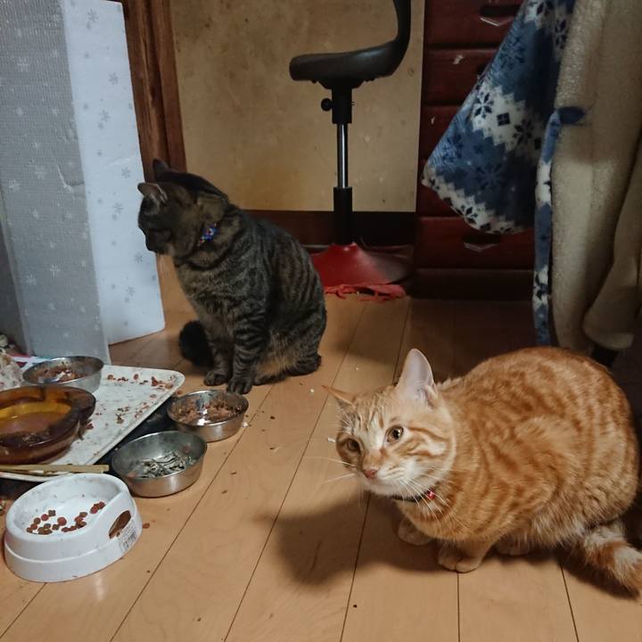 Bbe9e080 1c81 44a3 a87a 7df14374358c 1642931589122