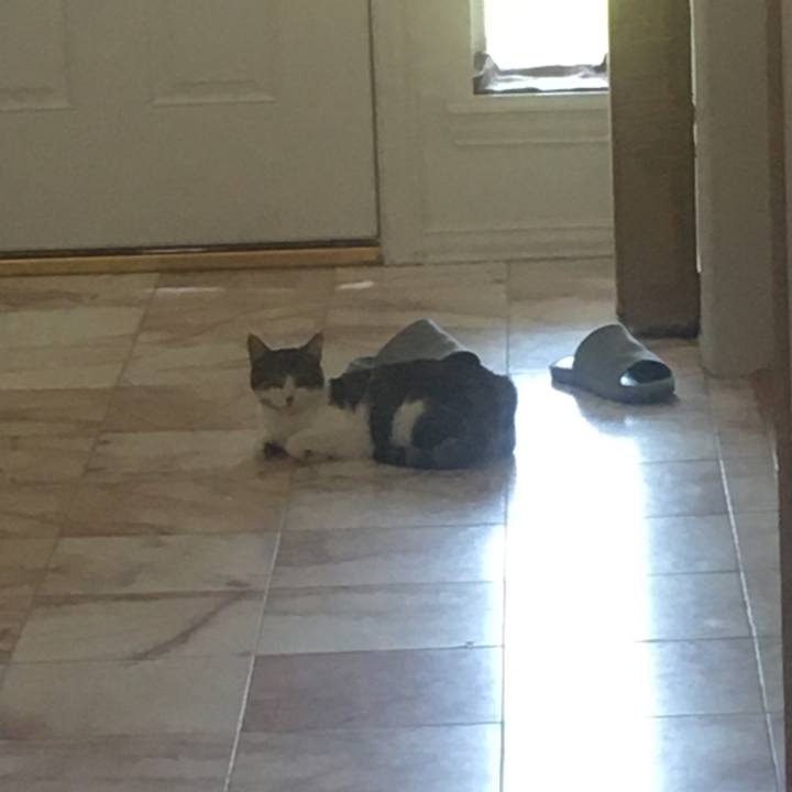 Bbe9e143 09d2 4c55 b183 e5476bff32e8 1657066369560