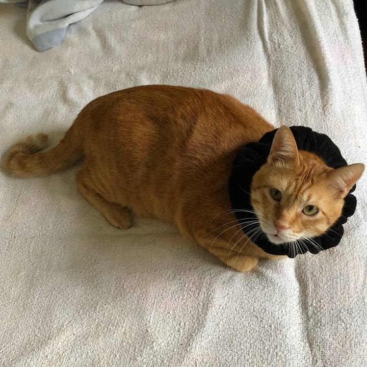 Bbe9f8b2 2e6d 454a 8605 fd938205453d 1570253705815