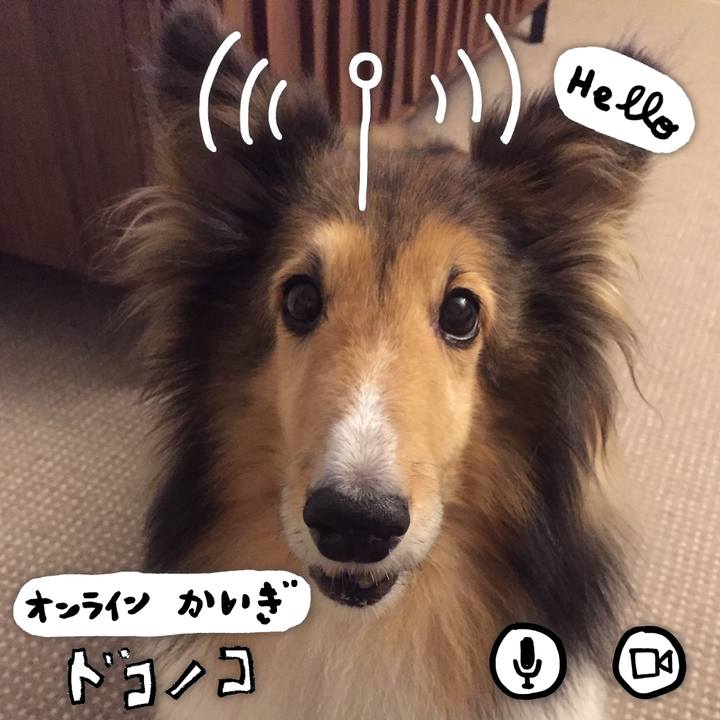 Bbe9f958 6e9c 4d68 9bcb 3fccb7ad32c1 1590767346591