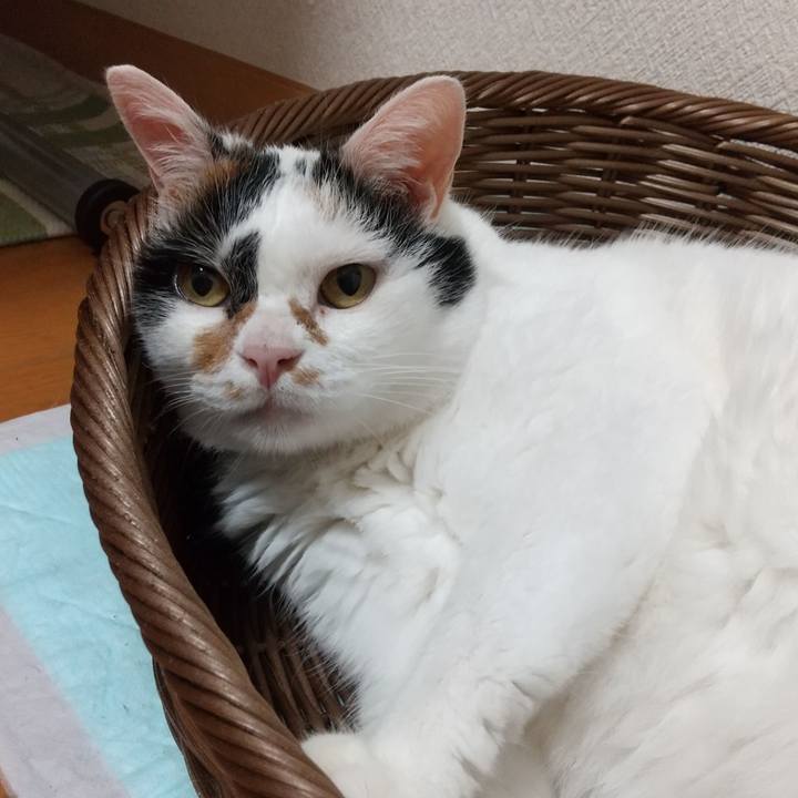 Bbe9fb20 0de3 47bb 907c f0a0a58239da 1598696464995