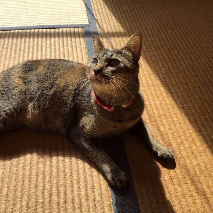 Bbea4bf4 693a 4ce7 a64f 7dece41890b5 1604369796317