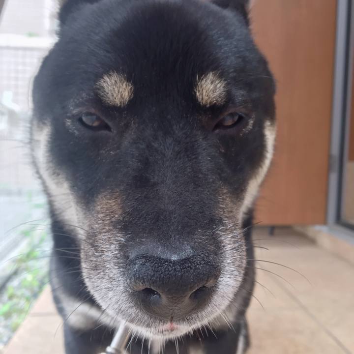 Bbea5793 8ac7 417f a18c eeec60223f9c 1529655775068