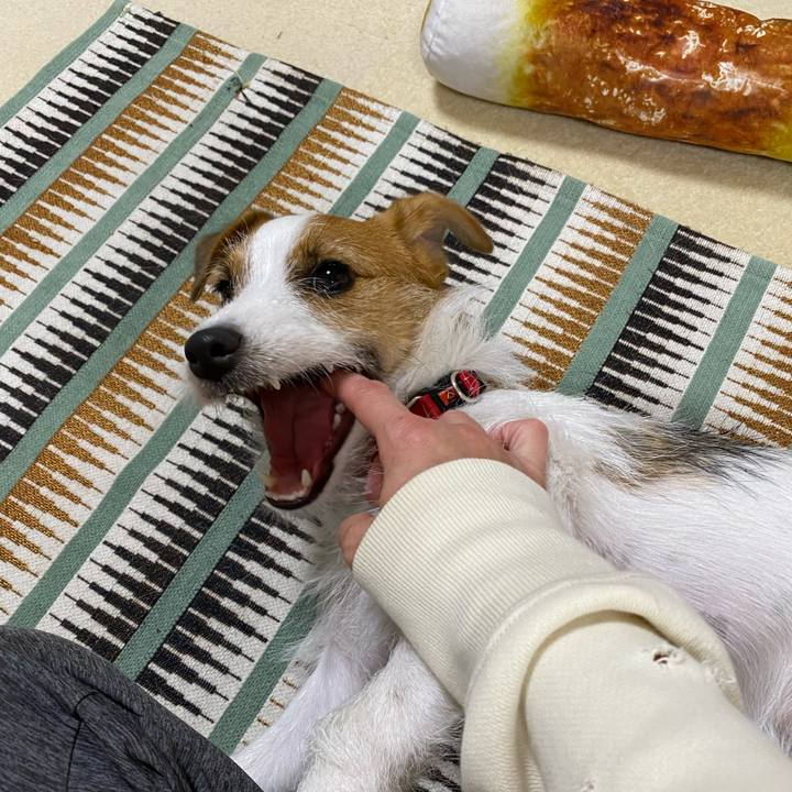 Bbea58c7 f8b4 4f13 a4a9 0bec12e7253b 1637927632301