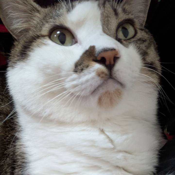 Bbea82ee 60da 47b3 bf94 b7443d8be710 1761034261714