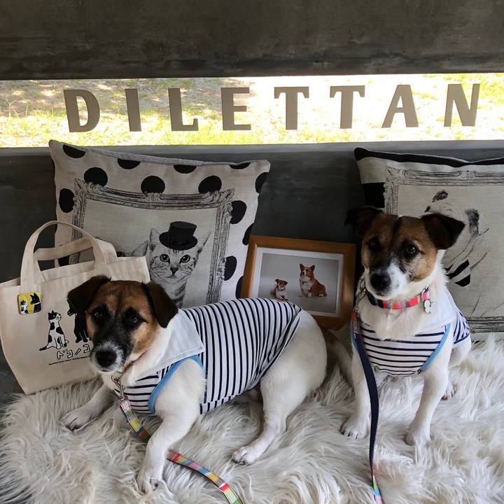 Bbea9445 9d79 4874 be56 c7213fc8315b 1566695705482