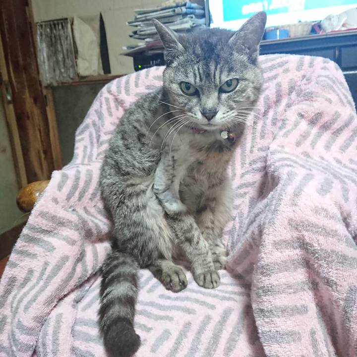 Bbea9eb8 2ab7 4cb6 a21e 7808ca795682 1589838423372