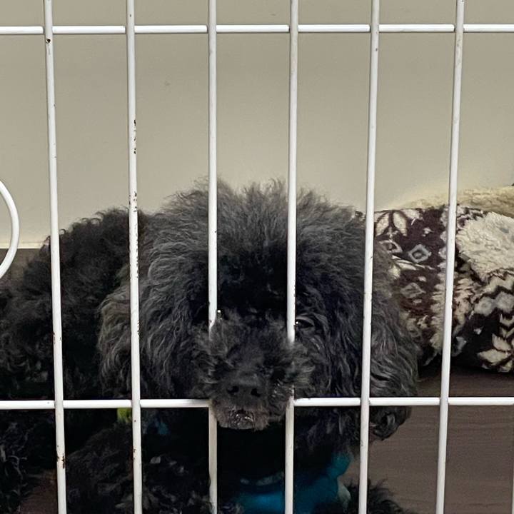 Bbeac148 1522 4284 84a6 bbaf13afc4dd 1658875679312