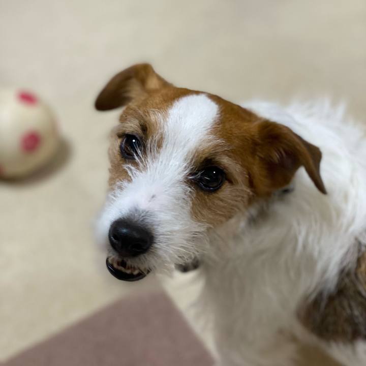 Bbead4fb 319c 4980 ad00 ef0a6839f82b 1742390304677