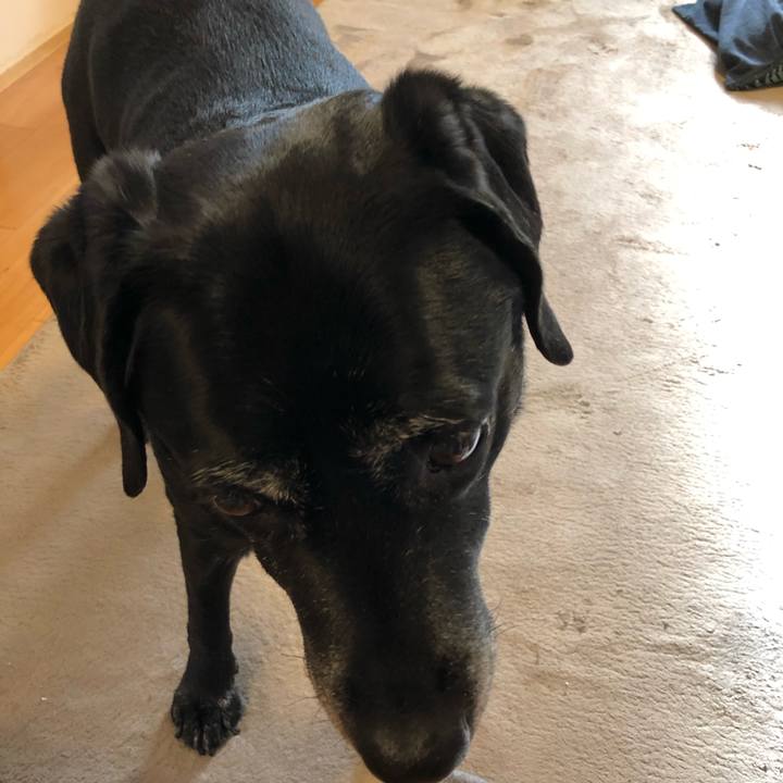 Bbead98c b7e4 43d5 a956 376d401fccb8 1606438631553