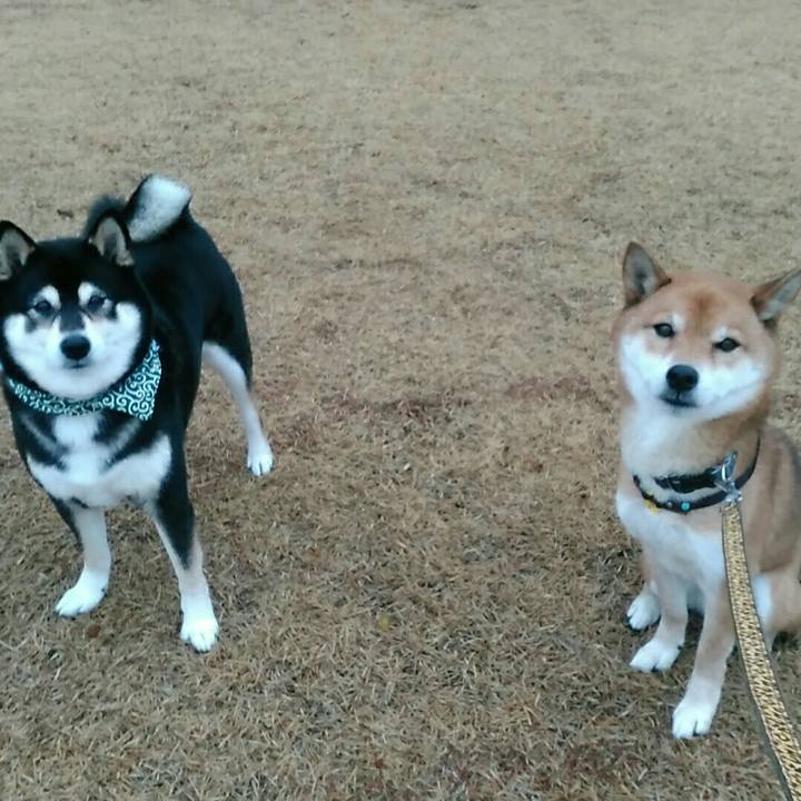 Bbeb2518 f341 484c a242 135025a4f1a4 1578447609335