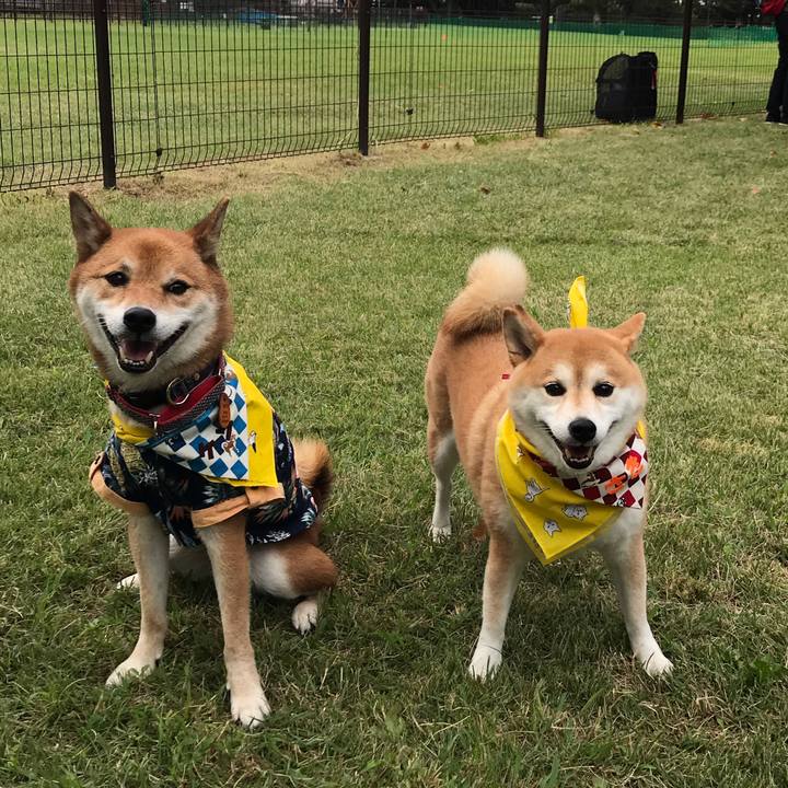 Bbeb2e45 dab2 46c8 bbf2 346626dba606 1569656507331