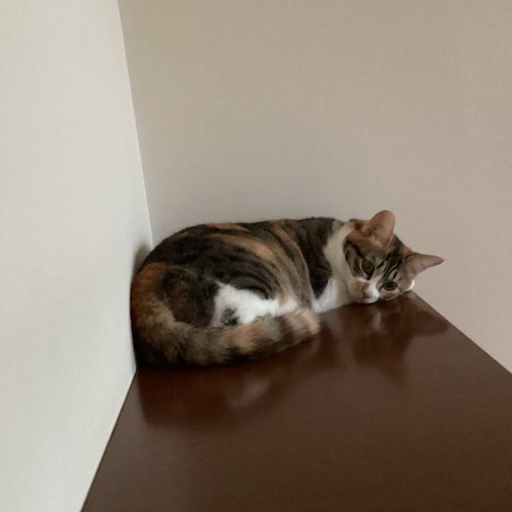 Bbeb4752 1f9d 450d a5a6 4c3e726316b8 1653176787192