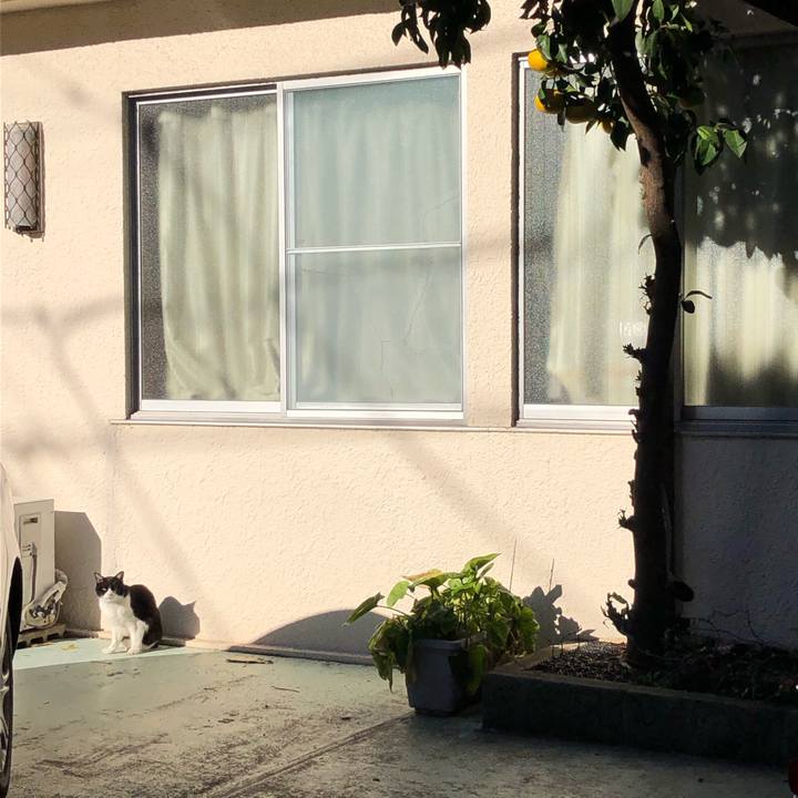 Bbebc407 5bea 46df b43b 236f965e61d7 1546655927870