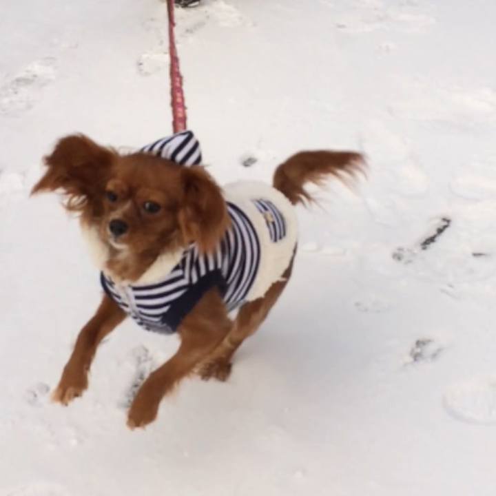 Bbebcb1d 6fa2 4df5 921b 93a461112ddf 1517109681128