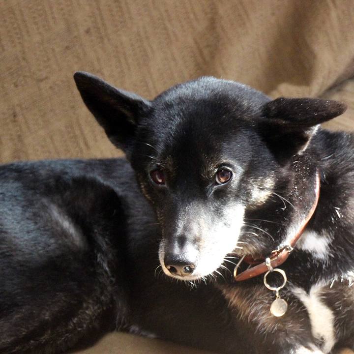 Bbebd37a b6b9 4644 95af 433c49b018e9 1654854514961