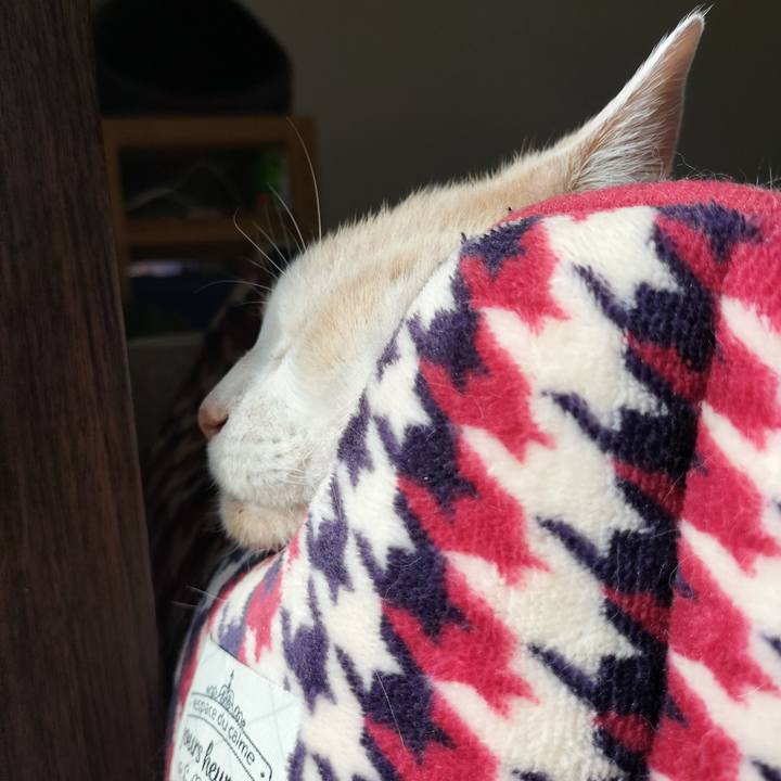 Bbebd768 f7c7 452b 8f9d 08516fac60e6 1657060061925