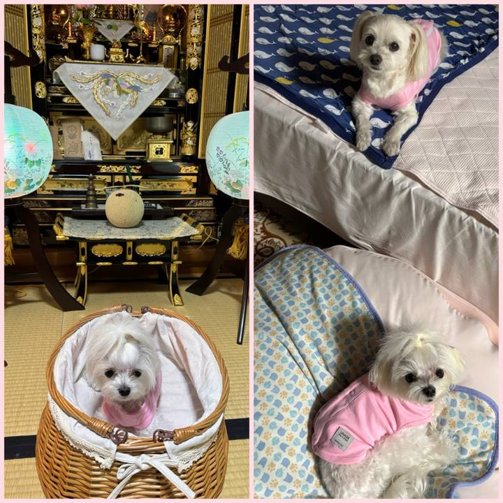 Bbebd949 e295 49a7 aaa4 bbb53fb67c00 1754731546337