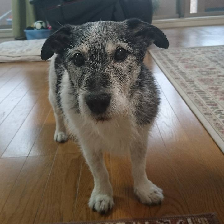 Bbec0451 a2dd 43ac b03d bbefd8f809ca 1524877401085