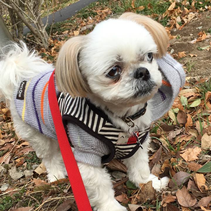 Bbec186d 9b25 4748 8e8f 6e0f8a244ff6 1549515307163