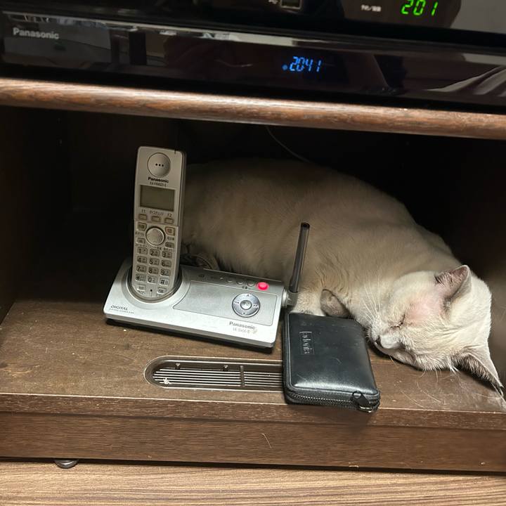 Bbec348c eb85 44c2 aa89 a9bbe83467b9 1737028548255