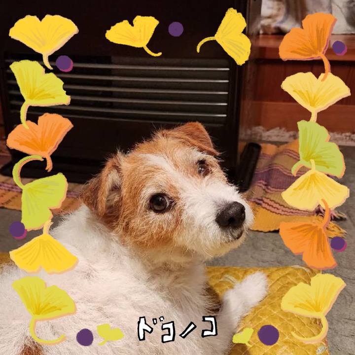 Bbec3667 0a56 45a4 9265 a2251c6f76a3 1730554520472